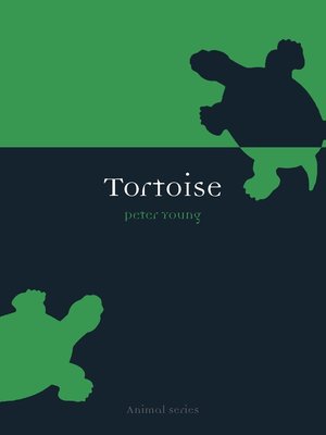 cover image of Tortoise